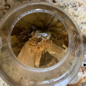 Cвязанный чай - золотой пион 100 г. Photo 2